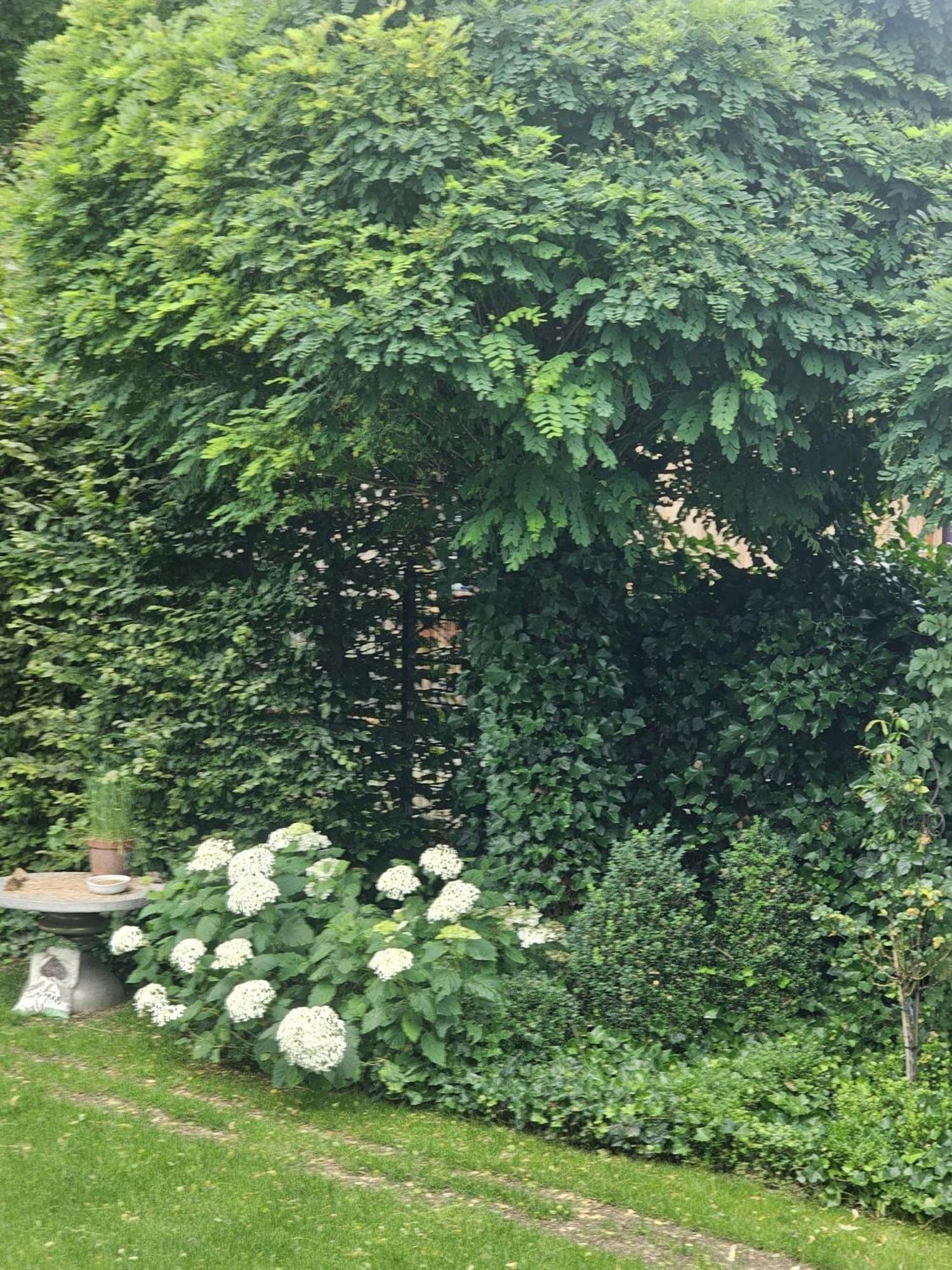 Gemuetliche Wohnung Mit Sauna Neumarkt in der Oberpfalz Exterior foto
